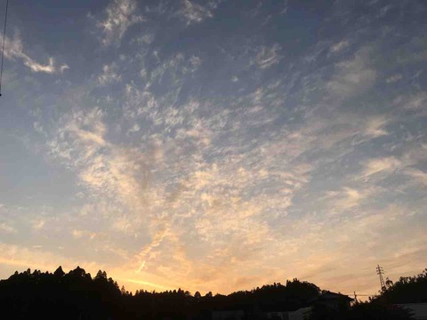 04BA0324-8A0C-4203-843B-04FBBAB636C0