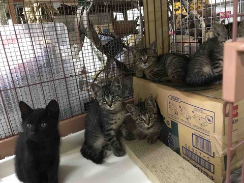 B56D033E-15CB-40C6-A83A-20B7D9F2068C