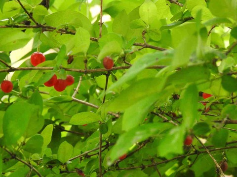 70A3F878-F7BA-4069-AA9F-E1FD3C8846F7