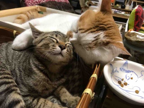 3342B3A5-97DF-4E67-9D4C-4B6BF82C31E6