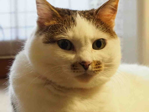 B7311EF9-CBED-4D44-89EC-97ED0BB74B2B