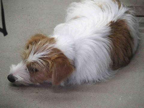 78337EB5-ACEE-4103-A98D-FAB192765552