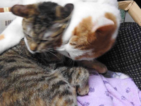 FCD5B4C4-8F35-46F2-A565-B5B6D2B259CB