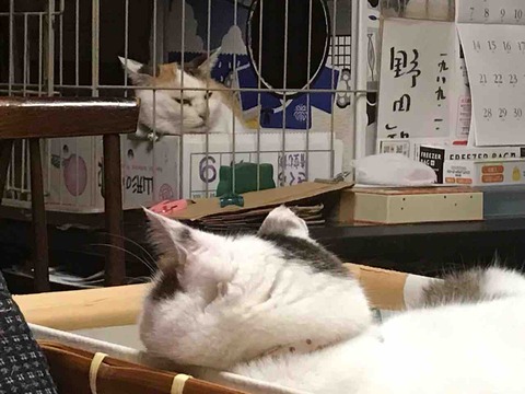 BD53E8E8-A5E7-41B1-B672-68B2EE03AAF1