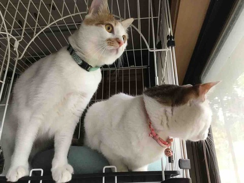 1E5B9C8D-9413-4199-A3DF-D62AA73FB75A