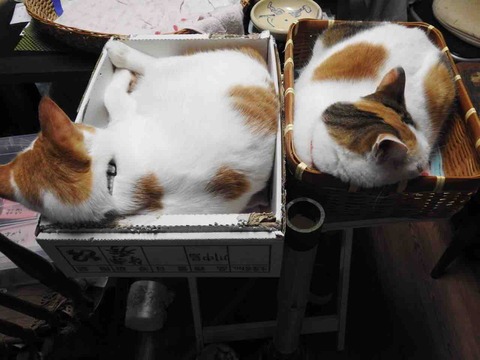 B3E0D9F0-3C49-4488-9DDC-BE565EF96BA9