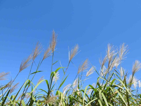 DD22E678-1EA8-4FFF-9FD1-EC9191E34CA0