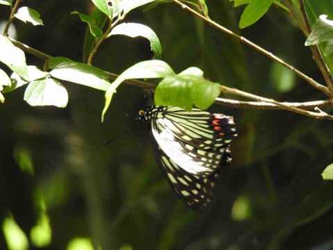 BAF7875C-6777-4C8A-ABF0-F8E1CC1ACB91