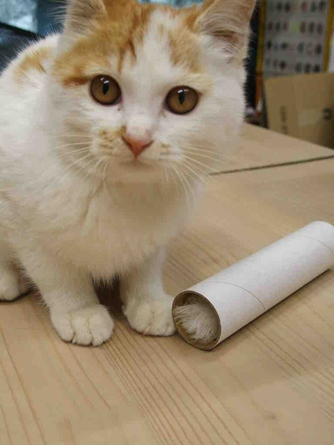 2C260914-6D1E-4022-B3A7-F36CE5ED195B