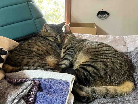 4D77DE98-41A1-4242-8D20-C61BB11ADF0C