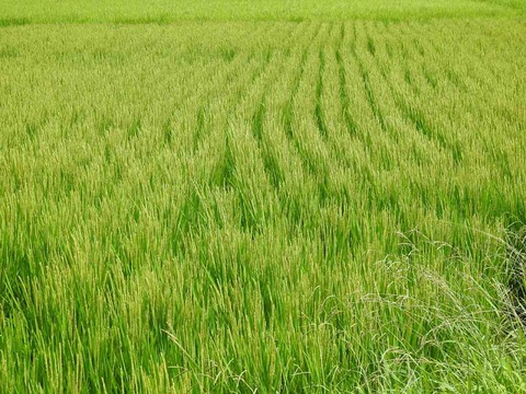 1B98154B-EEDC-4077-9987-4ED78D068B44