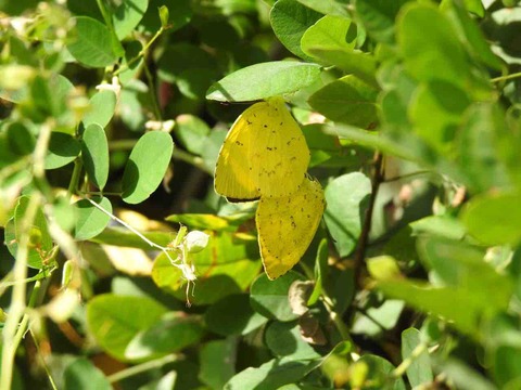 0FE9FB6E-3DC2-49FF-87E5-DA79572DC8B7