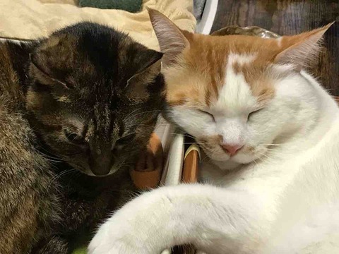 AF3FA0F9-91AB-4D0D-A14B-A06FBFB6ADA3