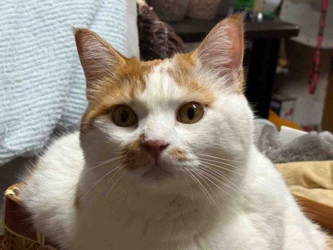 642ACD3F-6D06-41B6-B0C6-67F2280ECD59