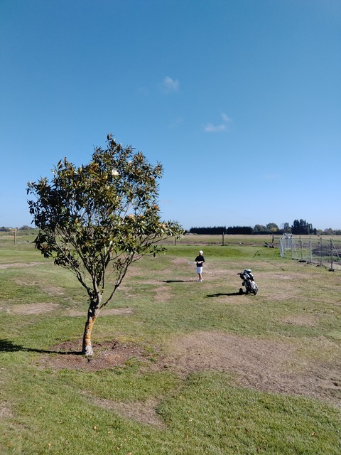 IMG20260319161921