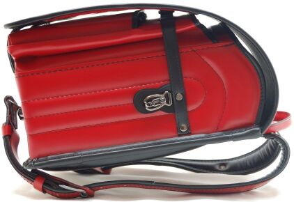 7ジェンダーレッド