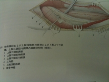 9e0032c3.jpg