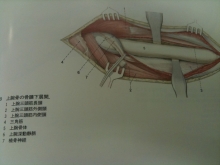 a8fbb874.jpg