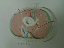 abda6eb9.jpg