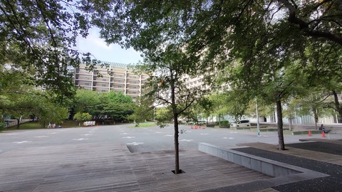 IMG_20240803_085815118_HDR