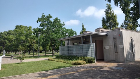 IMG_20240803_091123463_HDR