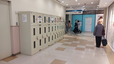 IMG_20241109_135748886