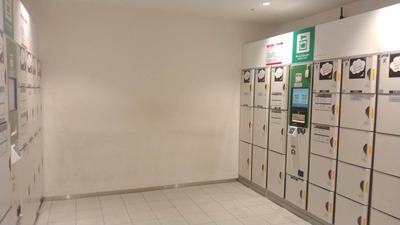 IMG_20240803_083828
