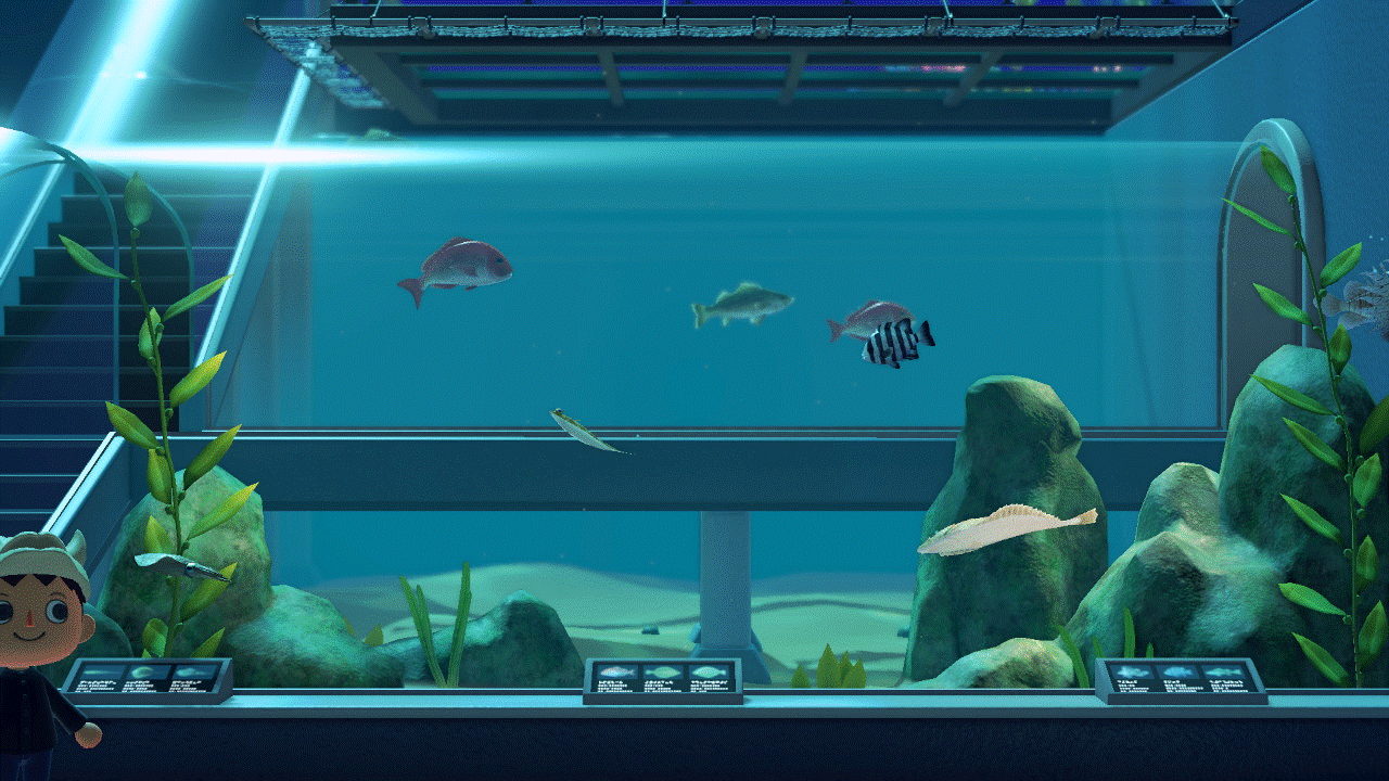 あつまれどうぶつの森あれこれ２ 3 4月の水族館 ざつあじ