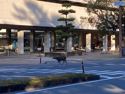 267701383_4709381275774363_6887995561772521085_n