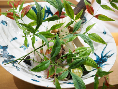 P7020081