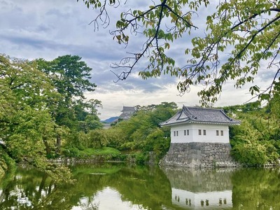 378325294_6692952460750558_5003132589961081517_n