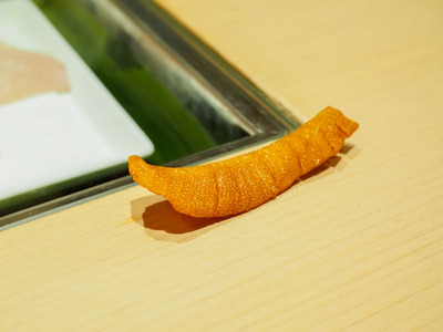 P6150131