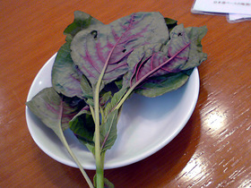 ひゆ菜