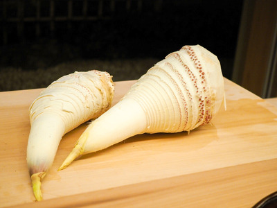 P4160024