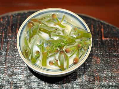 P6230075