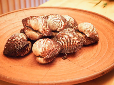 P3230098