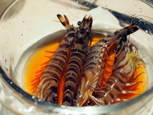 ������Ϸ�ξҶ����Ҥ�