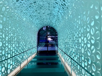 281544151_5197960280249791_1304081783188347807_n