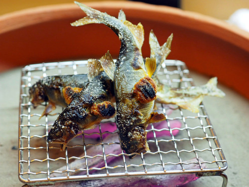 鮎の塩焼き