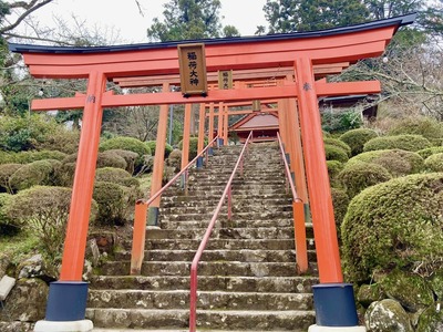 328521164_6385698268111423_2470439619858890644_n