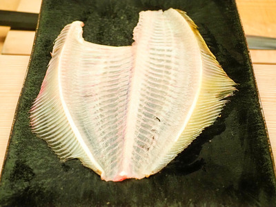 P8100069