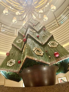 598904023_25437905825828605_4432976673626305902_n