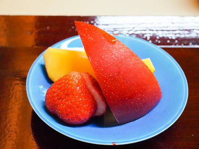 P4250039