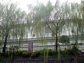 柳川