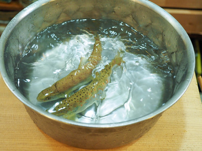 P7070005