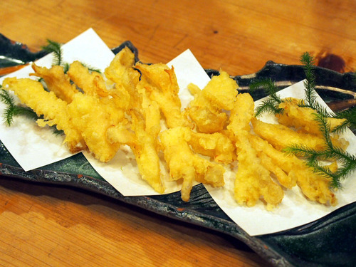 ������ŷ�פ�