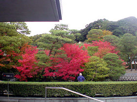 紅葉
