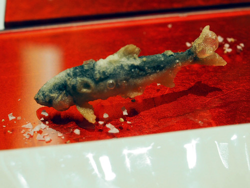 �հ��ե�å�