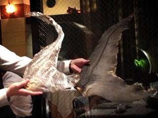 �դ��Ҥ�ͺ��