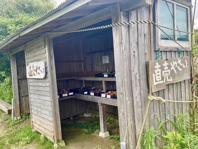 348560191_6498286910217115_6182231880110521325_n